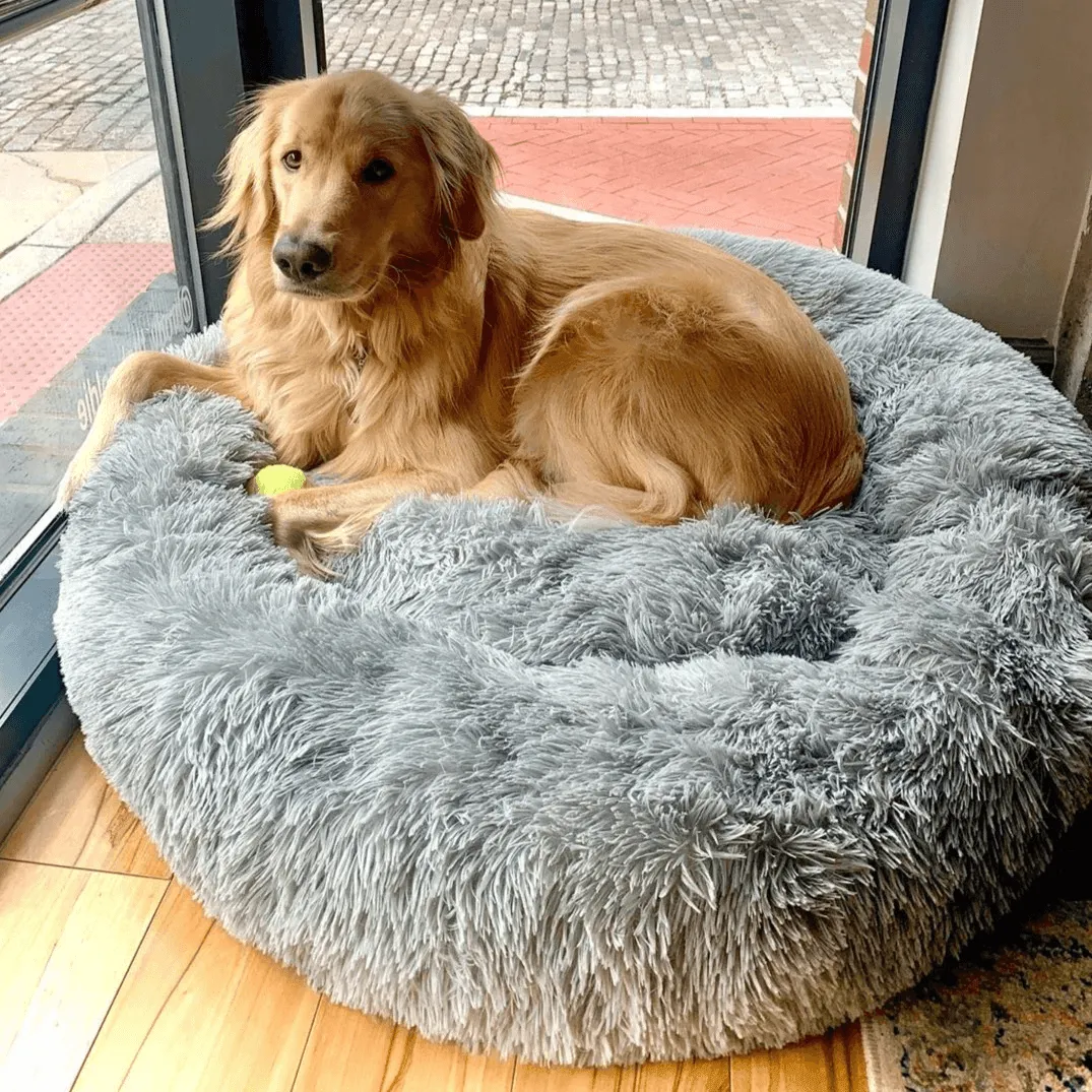 calming pet bed A4wish