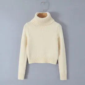Women's Autumn And Winter Turtleneck Short Base Sweater Dress